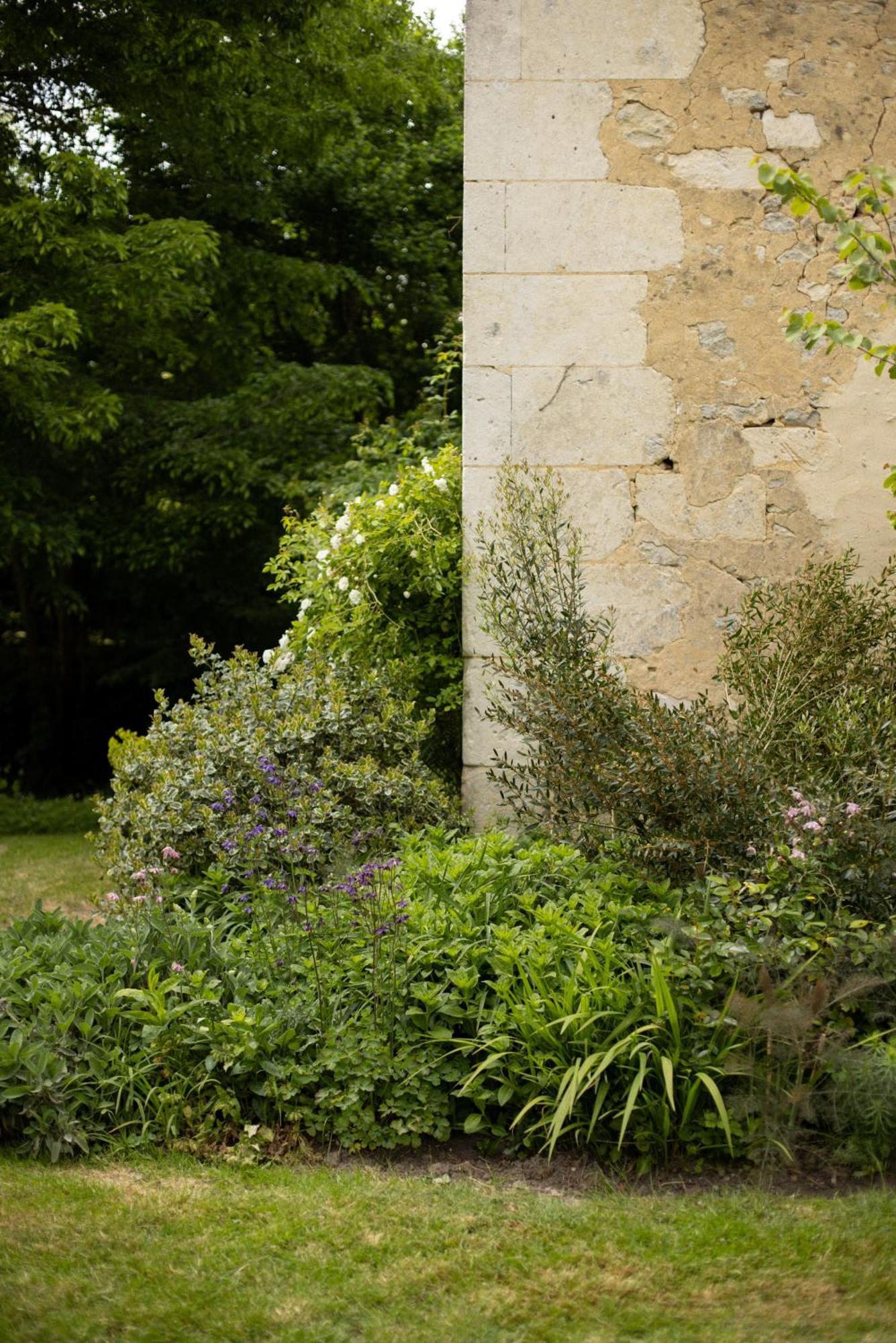 Отель Le Manoir Du Plessis Dance  Экстерьер фото