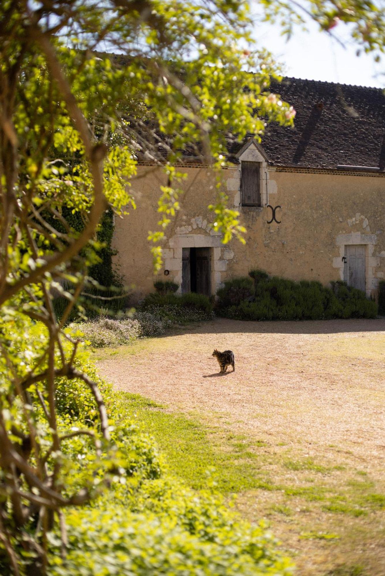 Отель Le Manoir Du Plessis Dance  Экстерьер фото